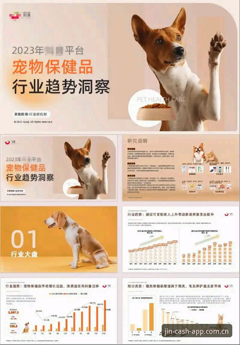 资深用户分享：金年汇正版平台使用体验与趋势洞察